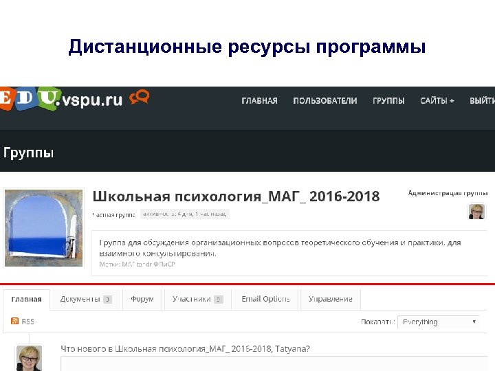 Дистанционные ресурсы программы 