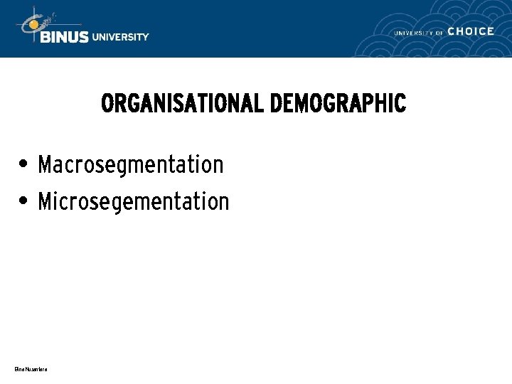 ORGANISATIONAL DEMOGRAPHIC • Macrosegmentation • Microsegementation Bina Nusantara 