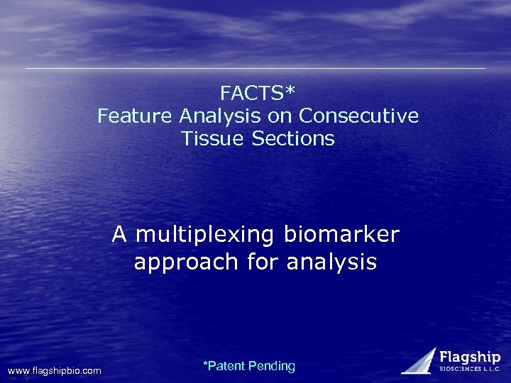 FACTS* Feature Analysis on Consecutive Tissue Sections A multiplexing biomarker approach for analysis www.