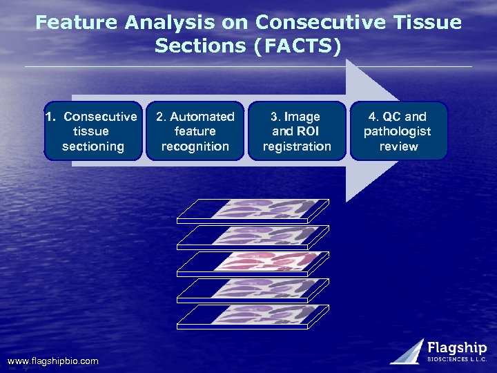 Feature Analysis on Consecutive Tissue Sections (FACTS) 1. Consecutive tissue sectioning www. flagshipbio. com