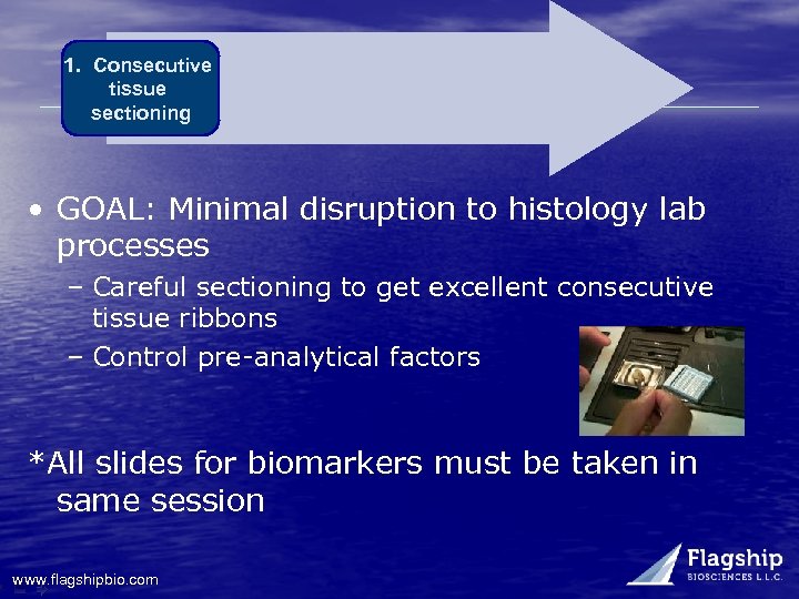 1. Consecutive tissue sectioning • GOAL: Minimal disruption to histology lab processes – Careful