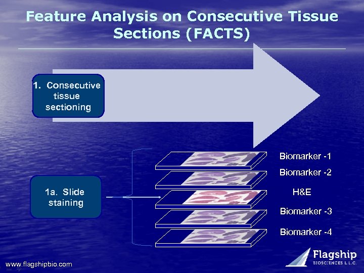 Feature Analysis on Consecutive Tissue Sections (FACTS) 1. Consecutive tissue sectioning Biomarker -1 Biomarker