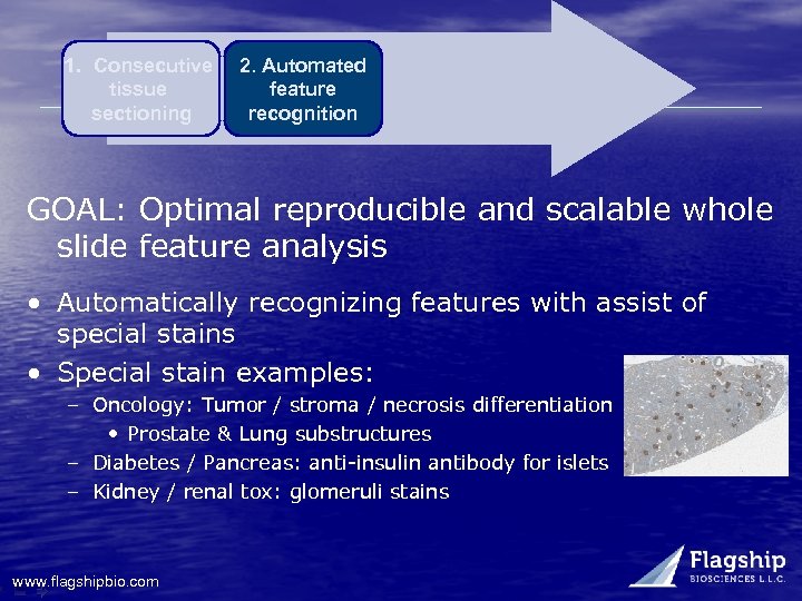 1. Consecutive tissue sectioning 2. Automated feature recognition GOAL: Optimal reproducible and scalable whole