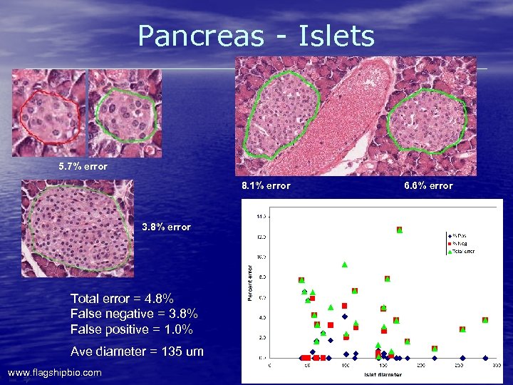 Pancreas - Islets 5. 7% error 8. 1% error 3. 8% error Total error