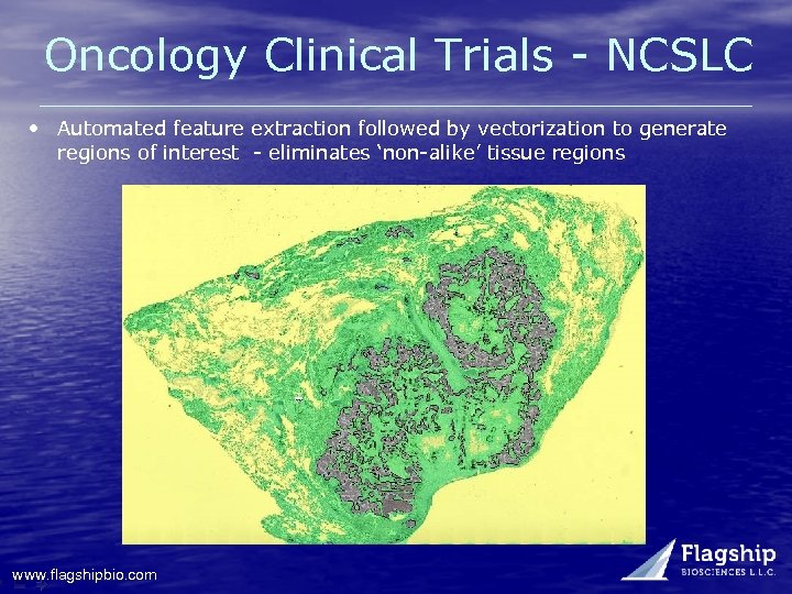 Oncology Clinical Trials - NCSLC • Automated feature extraction followed by vectorization to generate