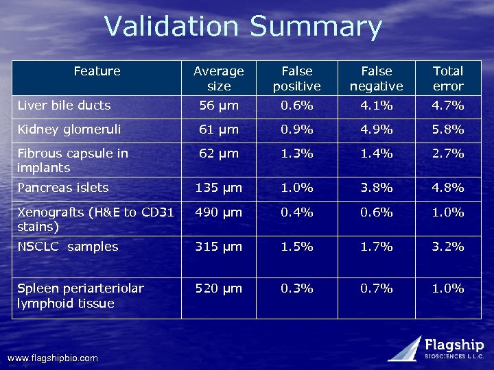 Validation Summary Feature Average size False positive False negative Total error Liver bile ducts