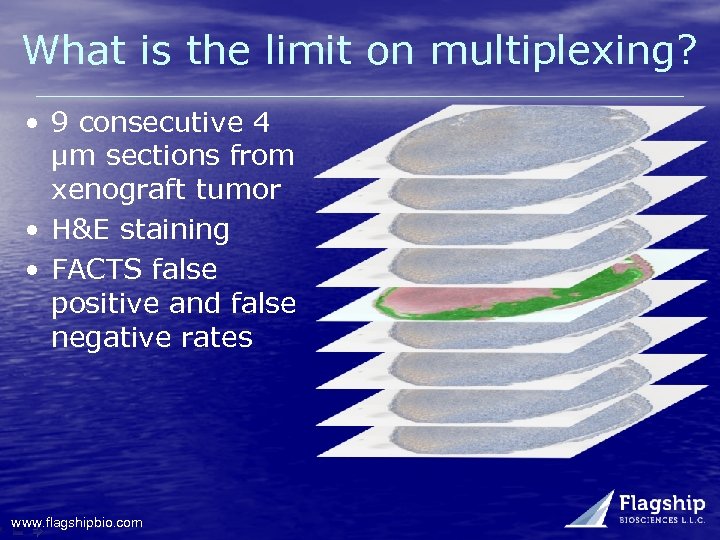 What is the limit on multiplexing? • 9 consecutive 4 µm sections from xenograft