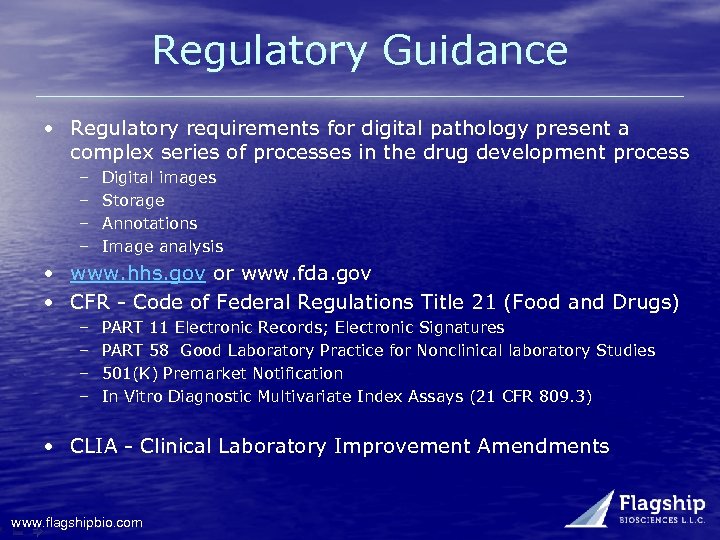 Regulatory Guidance • Regulatory requirements for digital pathology present a complex series of processes