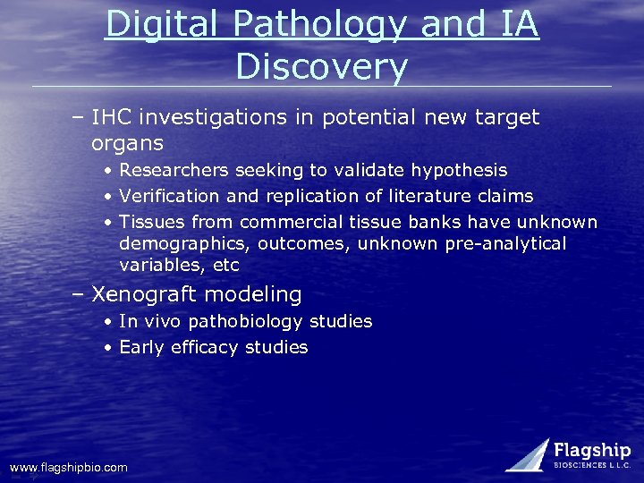 Digital Pathology and IA Discovery – IHC investigations in potential new target organs •