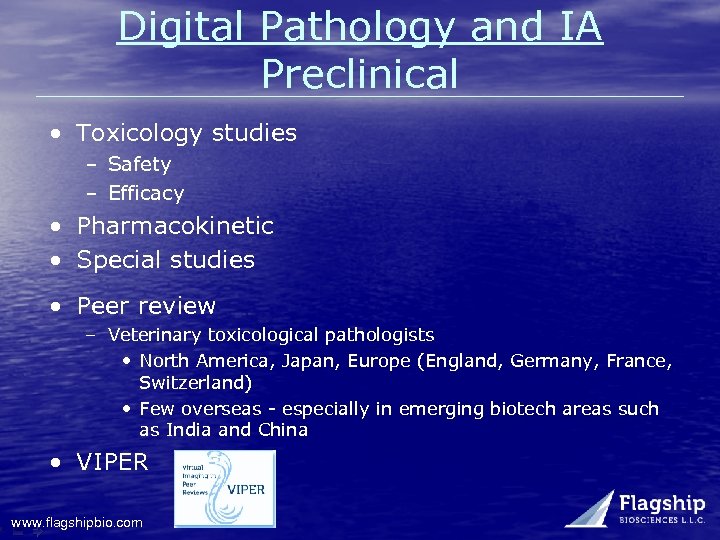 Digital Pathology and IA Preclinical • Toxicology studies – Safety – Efficacy • Pharmacokinetic