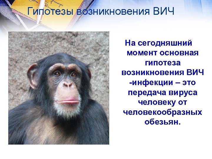 Гипотезы возникновения ВИЧ На сегодняшний момент основная гипотеза возникновения ВИЧ -инфекции – это передача