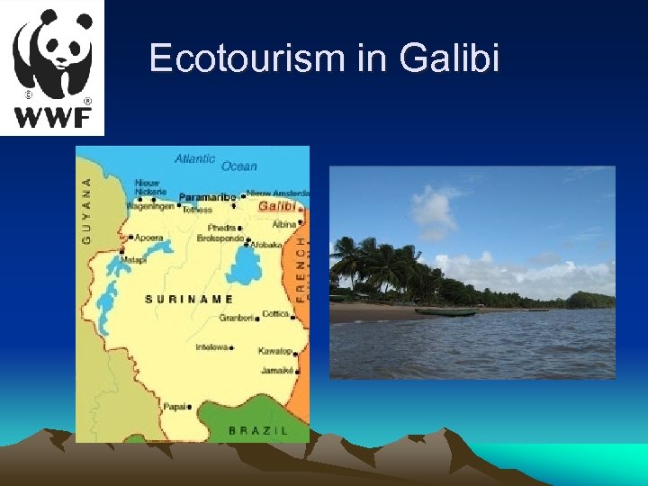 Ecotourism in Galibi 