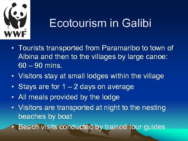 Ecotourism in Galibi • Tourists transported from Paramaribo to town of Albina and then