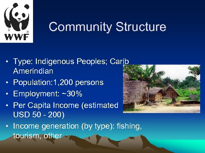 Community Structure • Type: Indigenous Peoples; Carib Amerindian • Population: 1, 200 persons •