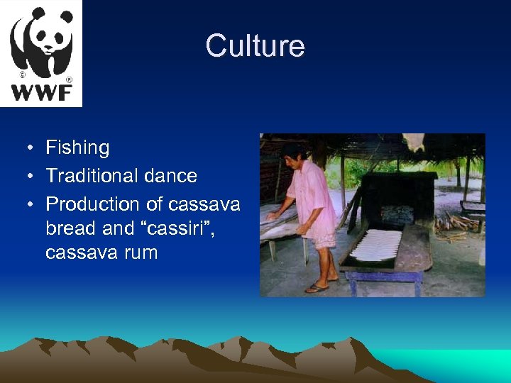 Culture • Fishing • Traditional dance • Production of cassava bread and “cassiri”, cassava