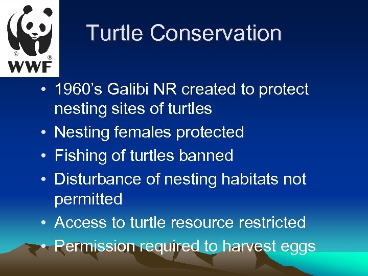 Turtle Conservation • 1960’s Galibi NR created to protect nesting sites of turtles •