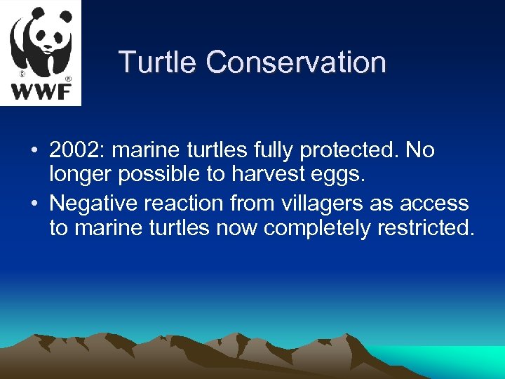 Turtle Conservation • 2002: marine turtles fully protected. No longer possible to harvest eggs.