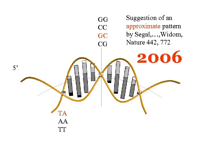 GG CC GC CG 5’ TA AA TT Suggestion of an approximate pattern by