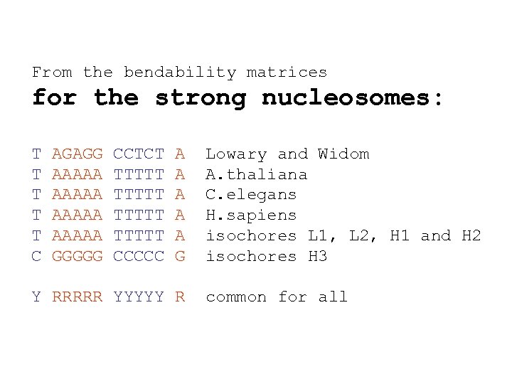 From the bendability matrices for the strong nucleosomes: T T T C AGAGG AAAAA