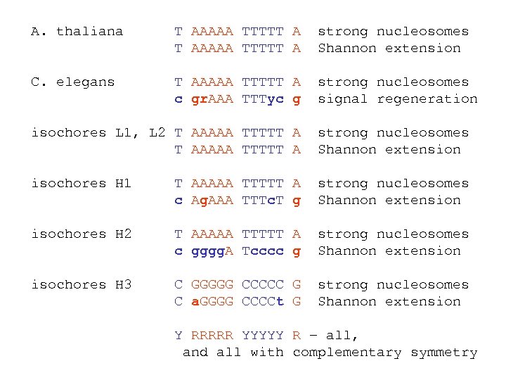 A. thaliana T AAAAA TTTTT A strong nucleosomes Shannon extension C. elegans T AAAAA