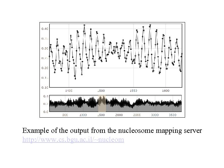 Example of the output from the nucleosome mapping server http: //www. cs. bgu. ac.