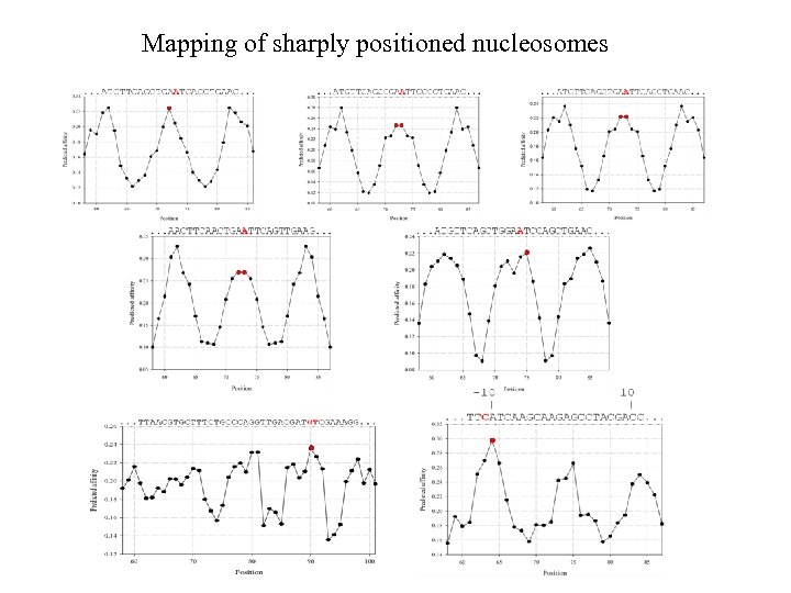 Mapping of sharply positioned nucleosomes 