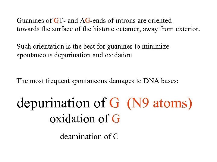 Guanines of GT- and AG-ends of introns are oriented towards the surface of the