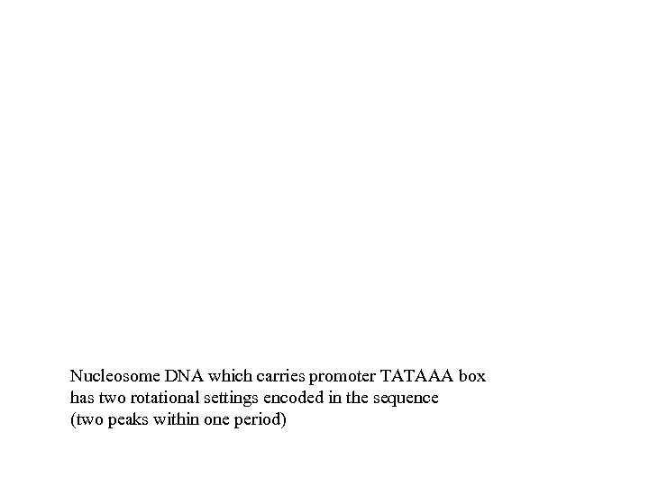 Nucleosome DNA which carries promoter TATAAA box has two rotational settings encoded in the