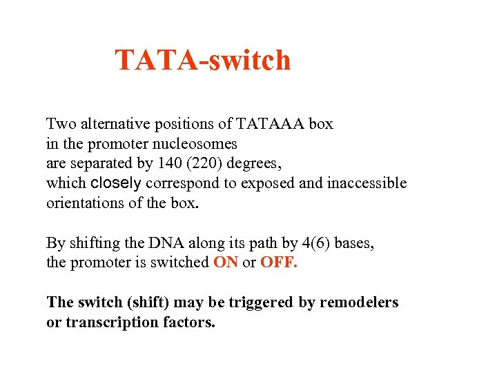TATA-switch Two alternative positions of TATAAA box in the promoter nucleosomes are separated by