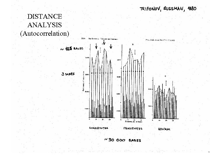 DISTANCE ANALYSIS (Autocorrelation) 