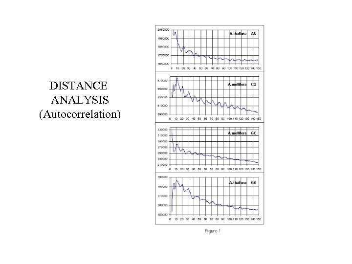 DISTANCE ANALYSIS (Autocorrelation) 