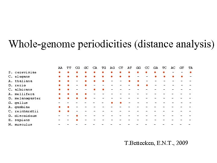 Whole-genome periodicities (distance analysis) S. C. A. D. G. A. C. D. H. M.
