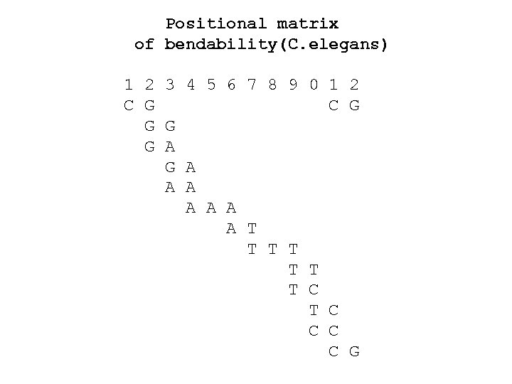 Positional matrix of bendability(C. elegans) 1 2 3 4 5 6 7 8 9