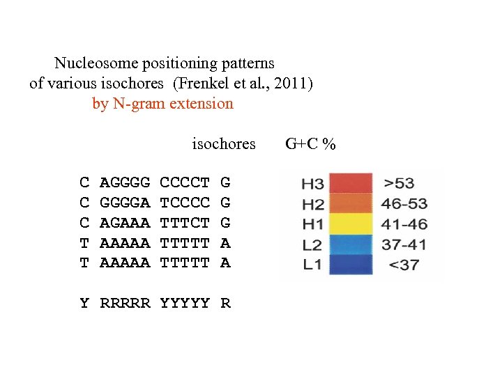 Nucleosome positioning patterns of various isochores (Frenkel et al. , 2011) by N-gram extension