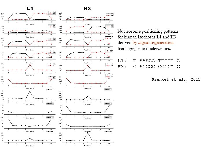 Nucleosome positioning patterns for human isochores L 1 and H 3 derived by signal