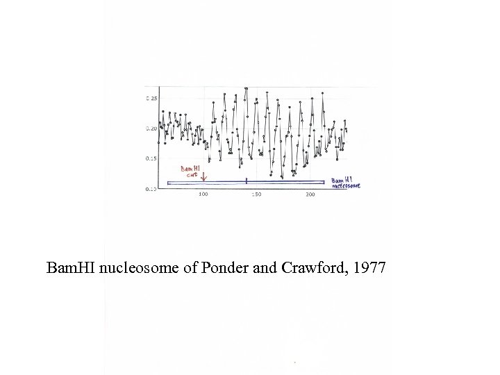 Bam. HI nucleosome of Ponder and Crawford, 1977 