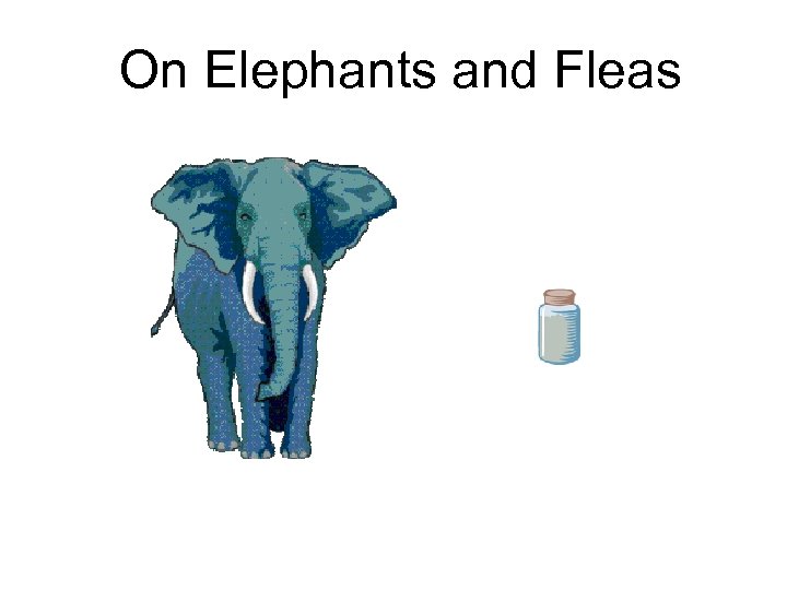 On Elephants and Fleas 