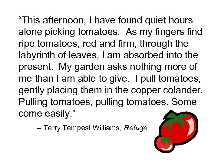 “This afternoon, I have found quiet hours alone picking tomatoes. As my fingers find
