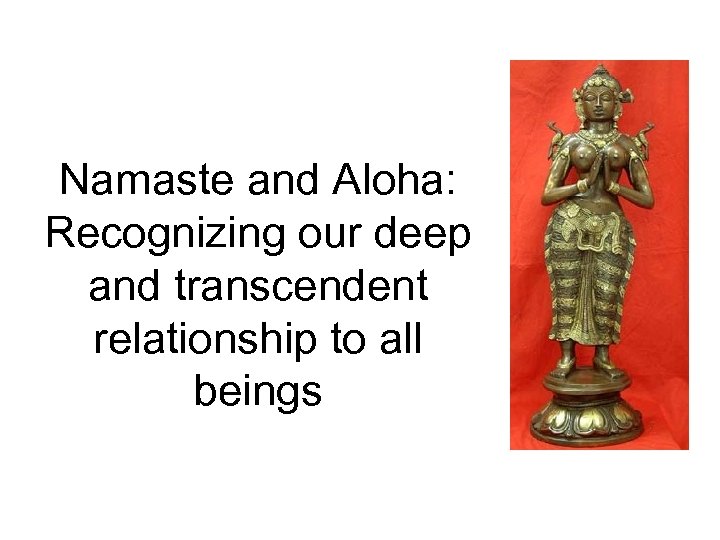 Namaste and Aloha: Recognizing our deep and transcendent relationship to all beings 