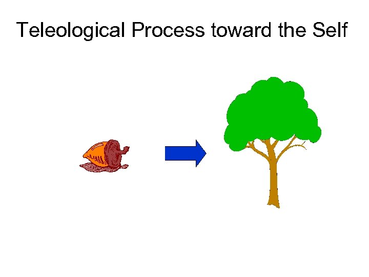 Teleological Process toward the Self 