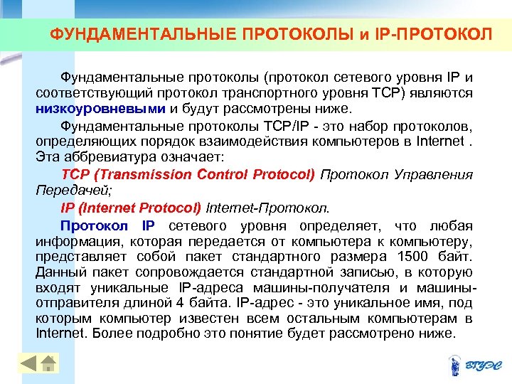 ФУНДАМЕНТАЛЬНЫЕ ПРОТОКОЛЫ и IP-ПРОТОКОЛ Фундаментальные протоколы (протокол сетевого уровня IP и соответствующий протокол транспортного