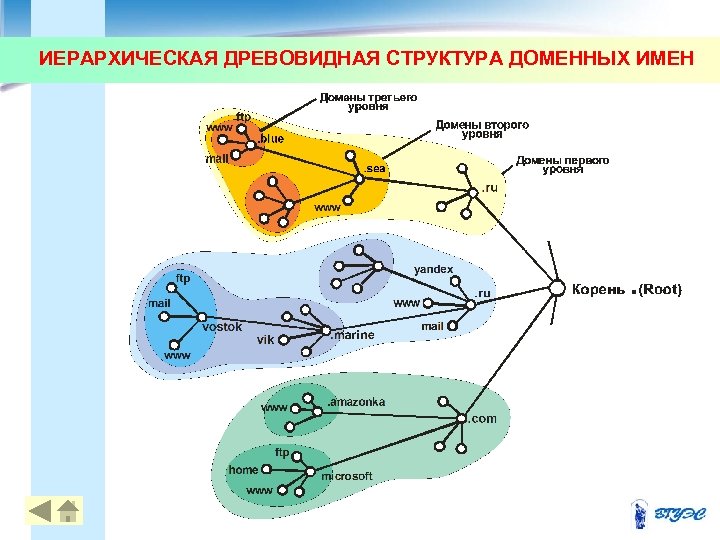 ИЕРАРХИЧЕСКАЯ ДРЕВОВИДНАЯ СТРУКТУРА ДОМЕННЫХ ИМЕН 25 