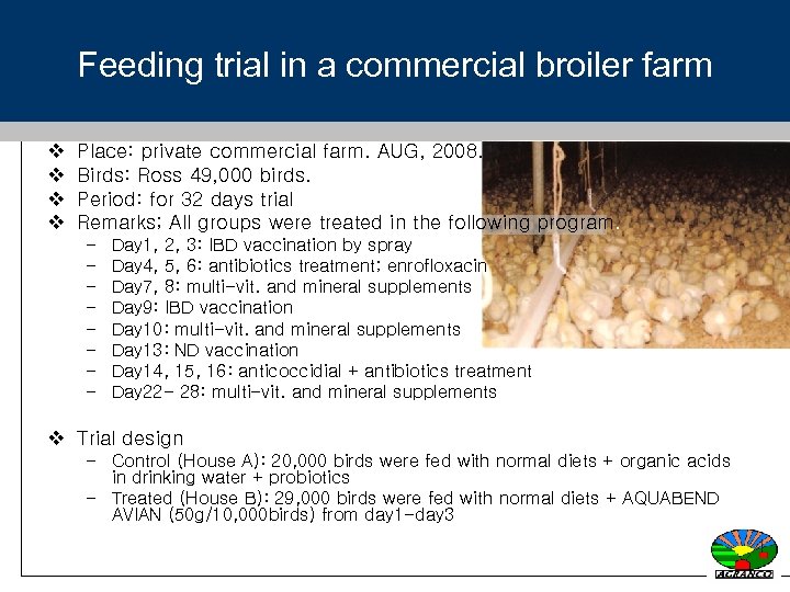 Feeding trial in a commercial broiler farm v v Place: private commercial farm. AUG,