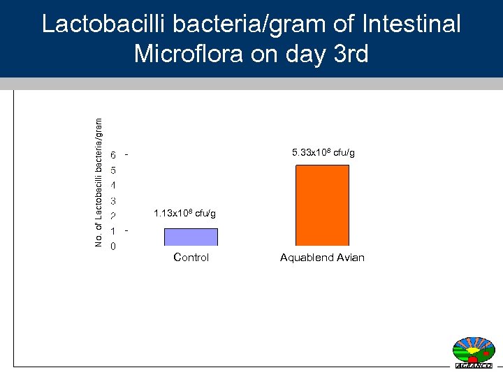 No. of Lactobacilli bacteria/gram of Intestinal Microflora on day 3 rd 5. 33 x