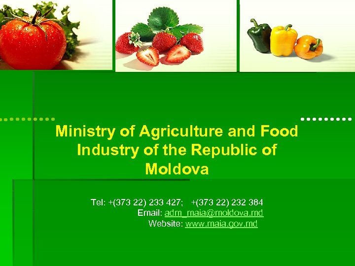 Ministry of Agriculture and Food Industry of the Republic of Moldova Tel: +(373 22)