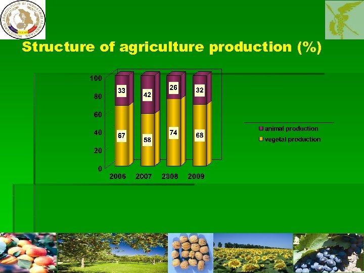Structure of agriculture production (%) 