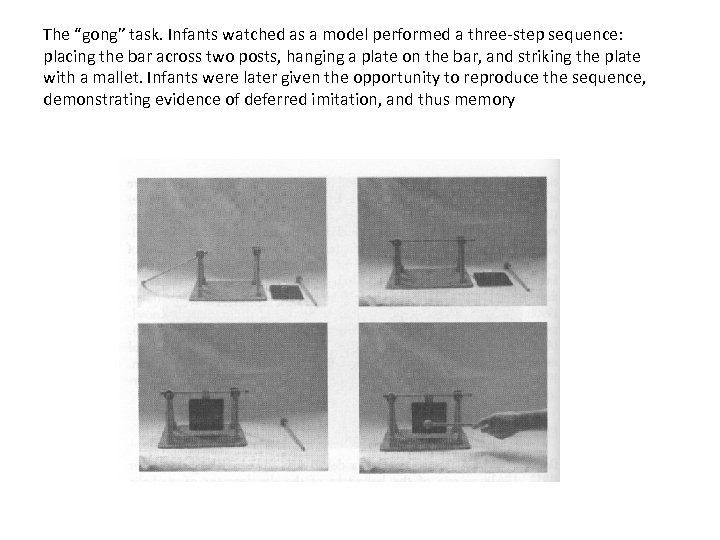 The “gong” task. Infants watched as a model performed a three-step sequence: placing the