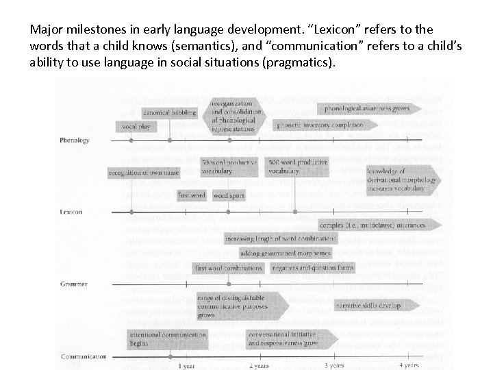 Major milestones in early language development. “Lexicon” refers to the words that a child