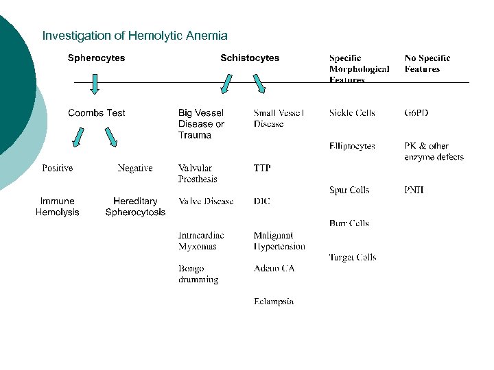 Investigation of Hemolytic Anemia 