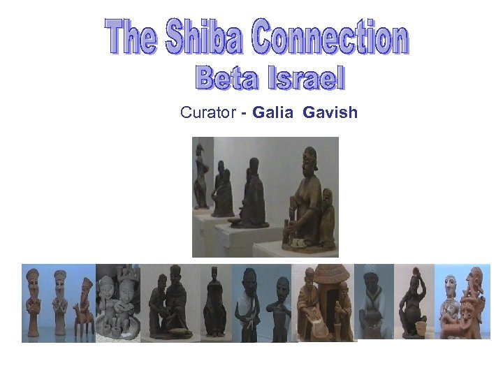 Curator - Galia Gavish 